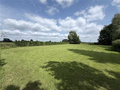 Extensive Rear Garden